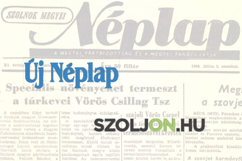 Új Néplap / Szoljon.hu