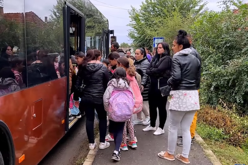bűdi busz