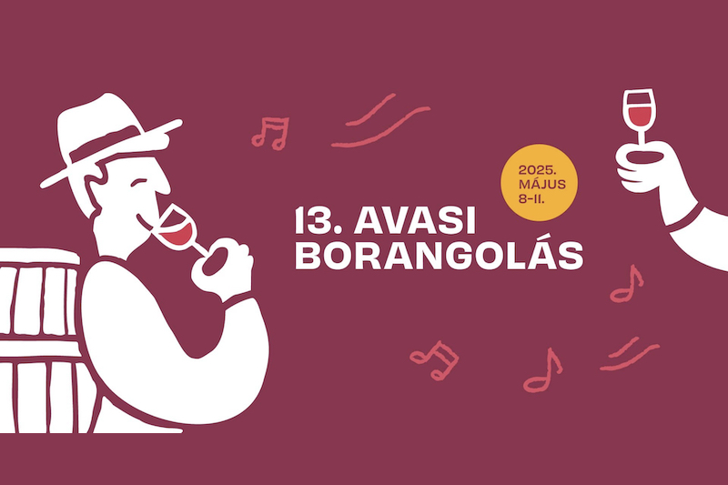 13. Avasi Borangolás