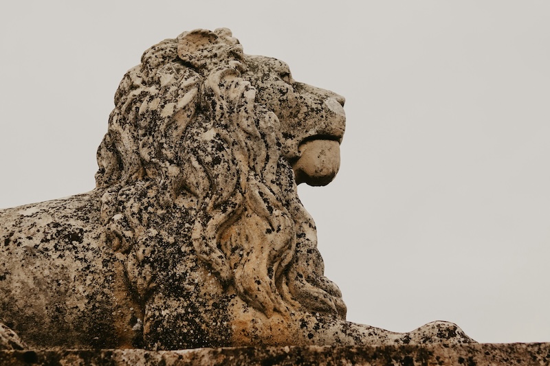 oroszlán