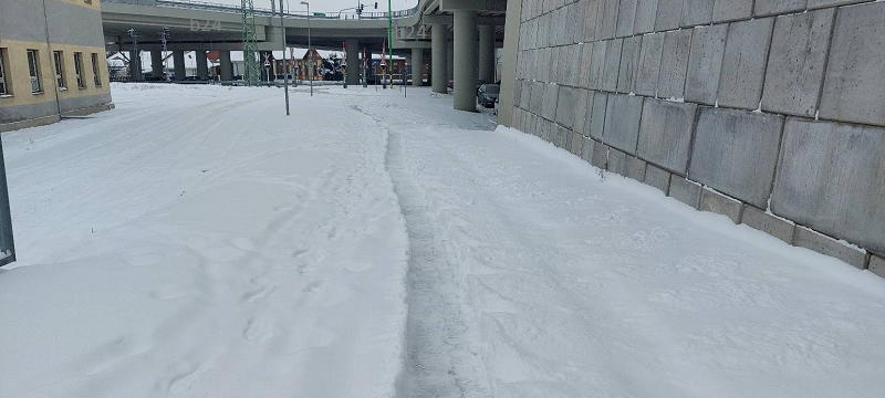 orban kiraly faragott